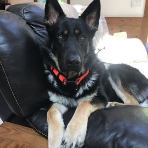 Meet your Posher, Jamie